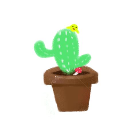 Commercial Use Png Picture Hand Painted Potted Cactus Material Can Be