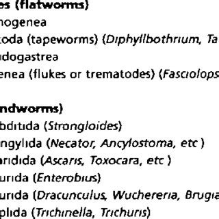 Brief outline classification of helminths parasitic in vertebrates ...