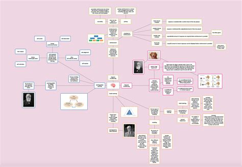 Cognitive map - PSYCHOLOGY