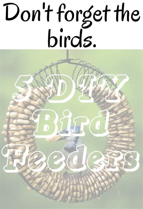 Dont Forget The Birds 5 Diy Bird Feeders Diy Home Sweet Home Diy