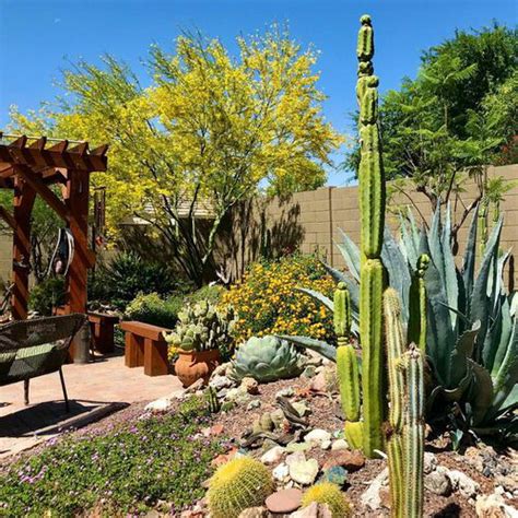 35 Inexpensive Desert Landscaping Ideas Pictures Balcony Garden Web