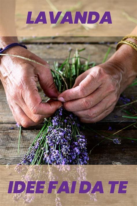 Lavanda Como Plantar E Cultivar Em Casa Blog Plantei Artofit