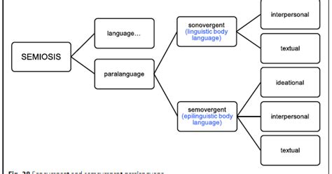 Martin S Model Of Paralanguage Taxonomy Of Sonovergent And Semovergent