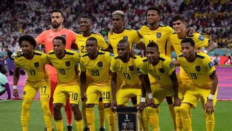 Pron Stico Colombia Vs Ecuador Eliminatorias