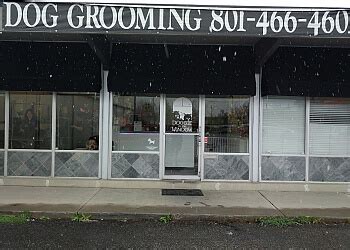 3 Best Pet Grooming in Salt Lake City, UT - Expert Recommendations