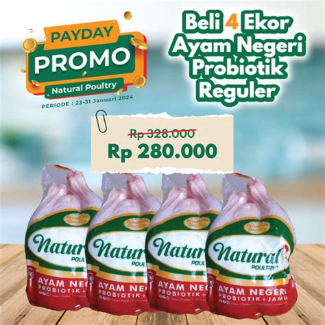 Jual Ayam Probiotik Reguler Natural Poultry 800gr 900gr Paket 4 Ayam