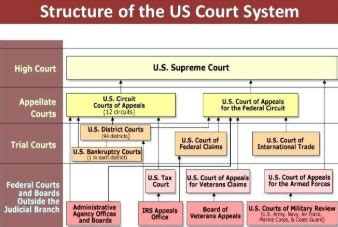 Judicial Branch Study Guide Diagram | Quizlet