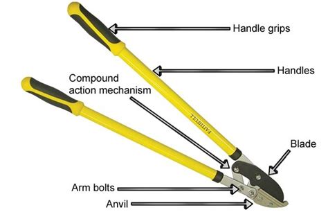 What Are The Parts Of An Anvil Lopper Wonkee Donkee Tools