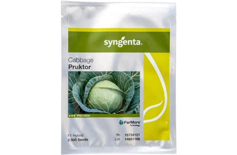 Pruktor Hybrid Cabbage Seeds Syngenta Zambia