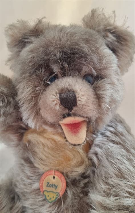 Steiff Zotty Bear 1960 1969 Germany Catawiki