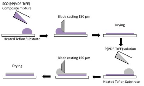 36 Optimized Scopvdf Trfepvdf Trfe Bilayer Fabrication Procedure