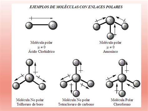 Ejemplos De Enlaces Polares Y No Polares Opciones De Ejemplo