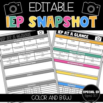 IEP Snapshot At A Glance EDITABLE By Special Ed Agent 007 Kelsey Nesbitt