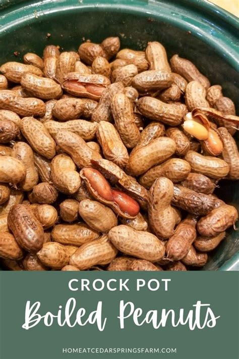 Crock Pot Boiled Peanuts Home At Cedar Springs Farm