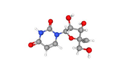 Recent Research on Uridine and Its Health Benefits – Food Security