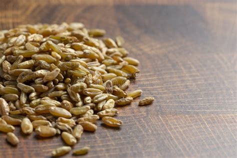 Freekeh Grain on a White Background Stock Photo - Image of nutrition, dried: 210156456