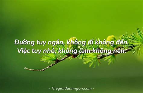 Ng Tuy Ng N Kh Ng I Kh Ng N Vi C Tuy Nh Kh Ng L M Kh Ng N N