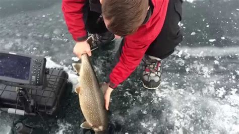 Ice Fishing Lake Trout Workshop 2015 Youtube