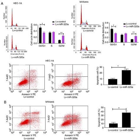 Mir 320a Blocked Cell Cycle Progression In The G 2 M Phase And