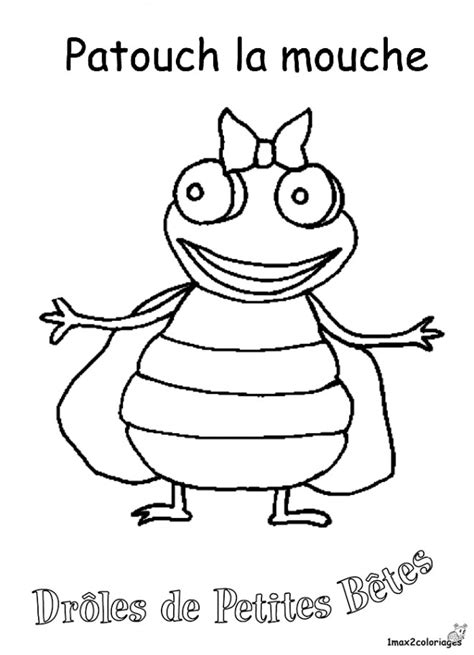 Coloriage La Mouche Humoristique Dessin Gratuit Imprimer