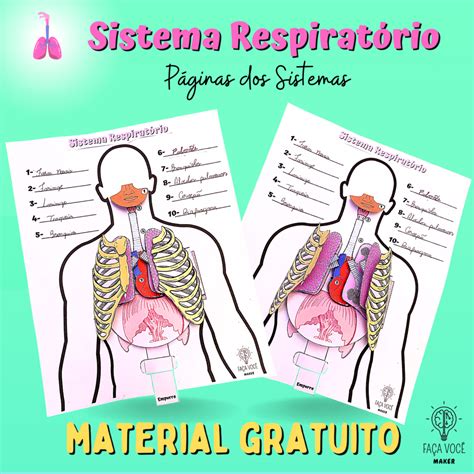 Molde Do Sistema Respiratorio Para Imprimir