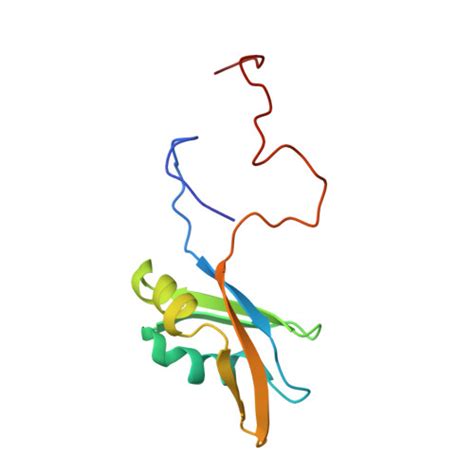 RCSB PDB - 2O3D: Structure of human SF2/ASF RNA recognition motif 2 (RRM2)