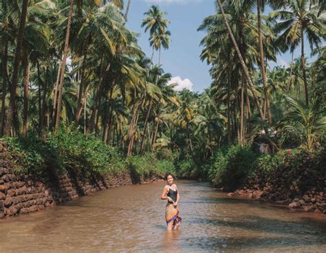 Cola Beach, Goa: Exploring the Best Beach in South Goa, India