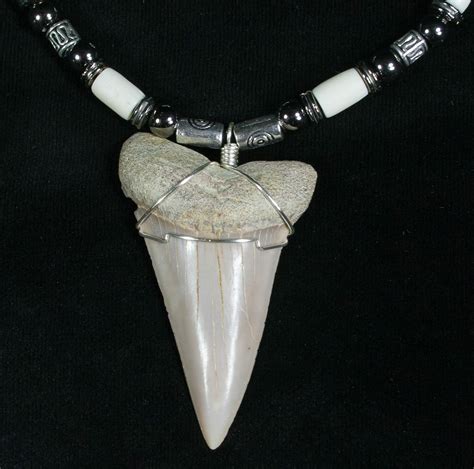 Fossil Mako Tooth Necklace Bakersfield Ca For Sale