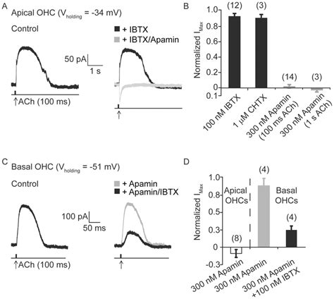 Tonotopic Contribution Of Sk And Bk Channels At The Outer Hair