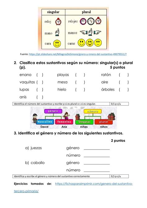 Genero Y Numero Sustantivo Worksheet Live Worksheets