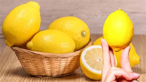 Nos Conseils Pour Conserver Les Citrons Frais