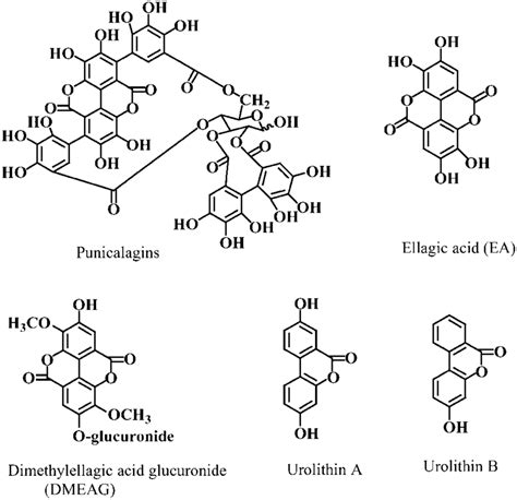 Chemical Structures Of Punicalagin Isomers The Major Ets Present In