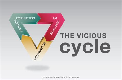 The Vicious Cycle Lymphoedema Education Solutions