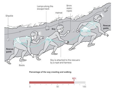 The Best Data Visualizations Of Infogram