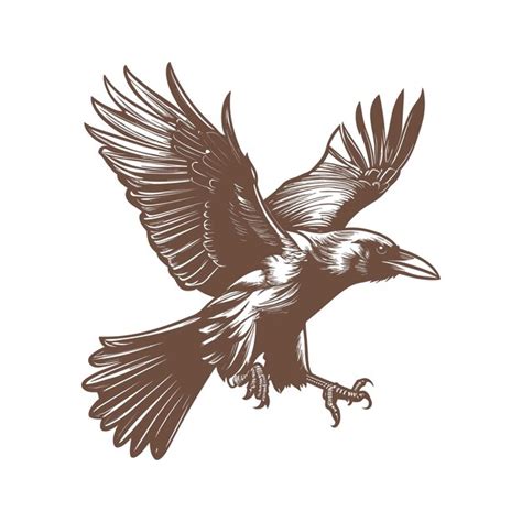 Premium Vector | Vector raven crow hand drawn sketch illustration birds