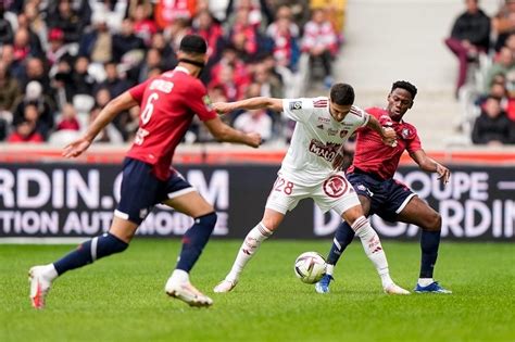 Brest Vs Lille Prediction Odds Betting Tips