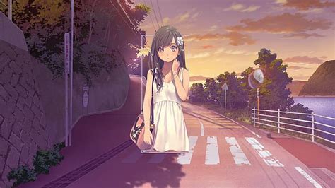 Online crop | HD wallpaper: anime, anime girls, street, afternoon, road ...