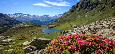 Home - Valtellina