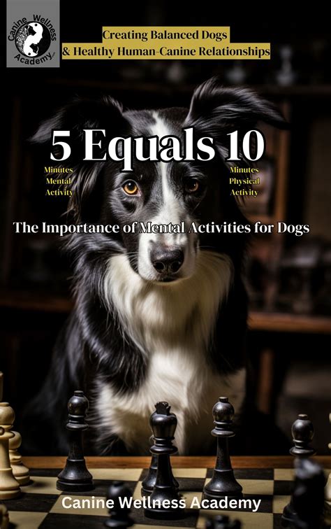 5 Equals 10: The Importance of Mental Activities for Dogs – Canine