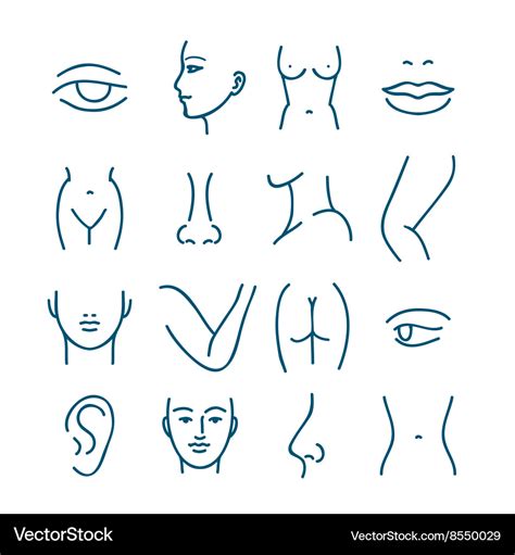 Male Body Parts Icons Set Stock Illustration Of Element