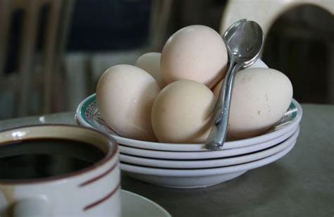 20 Uses For Egg Shells How To Cook Eggs Egg Shells Egg Carton