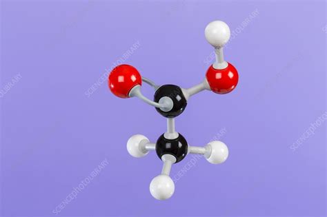 Ethanoic Acid Molecular Model Stock Image C0290959 Science