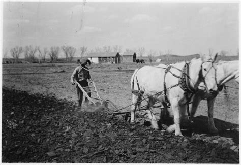 Farming Pictures Old - Farming Mania