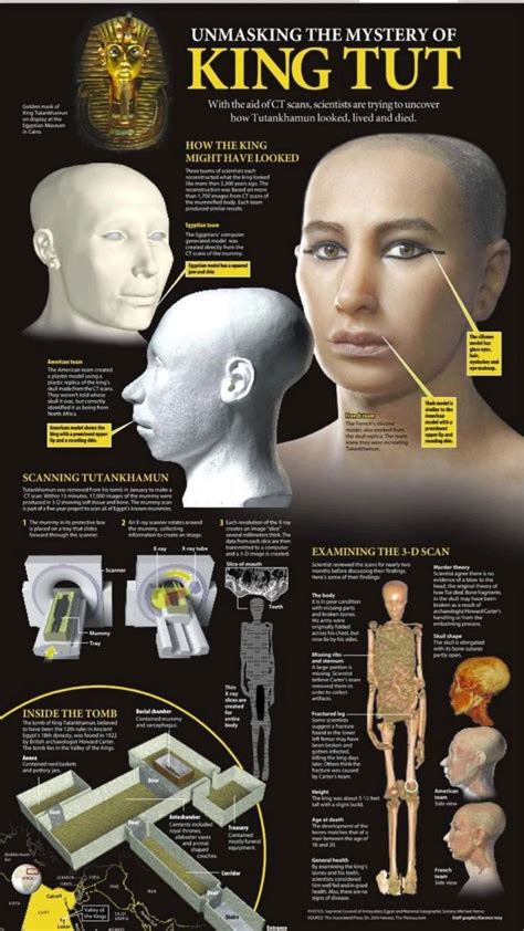 Tutankhamuns Facial Reconstruction Based On His Skull Shape And Ct