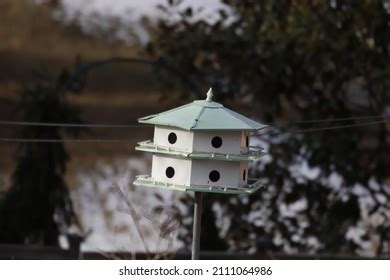 Birdhouse Flower Garden Field House Stock Photo 2221948671 Shutterstock