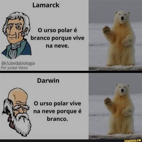 O Urso Polar É Branco Porque Vive Na Neve - O Urso Polar Vive Na Neve Porque é Branco - RETOEDU