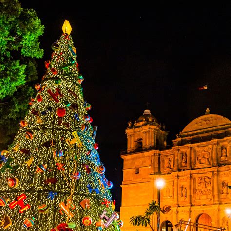 Los 6 Mejores Lugares Para Visitar En México En Navidad Este Año