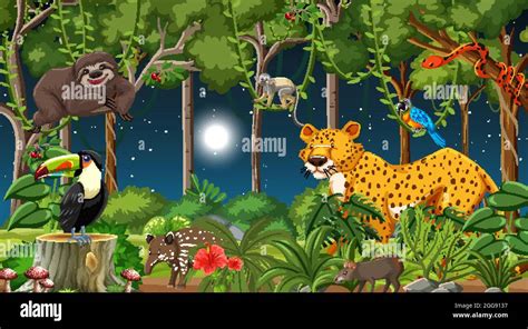 Forest at night scene with different wild animals illustration Stock ...