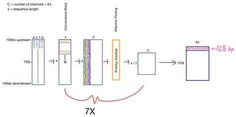 Explained Multi Head Attention Part