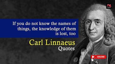 Carl Linnaeus Quotes Swedish Botanist Inspirational N Quotes